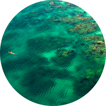 Zwemmers in de turkooisgroene zee in het Caribisch gebied van Dieter Walther