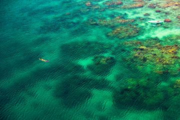 Schwimmer im türkis grünen Meer in der Karibik von Dieter Walther