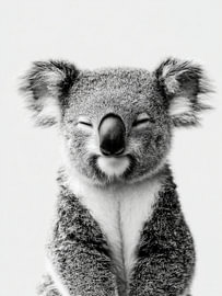 Lächelnder Koala – Tierkunst in Schwarzweiß von StudioRemier