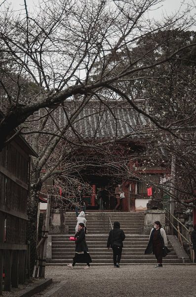 Osaka by Hello Pompoyo