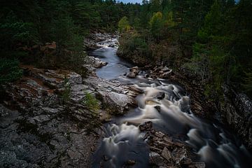 Black water trail von Stefan Havadi-Nagy
