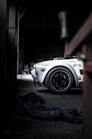 Mysterious Cobra