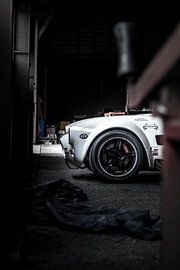 Mysterious Cobra by Jaimy van Asperen