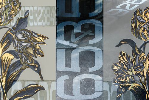 Tulip meets Urban. Urban / Street.