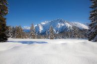 Snowy Karwendel van Fabian Roessler thumbnail