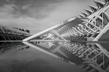 Details of the Museo de las Ciencias Principe Felipe - Valencia