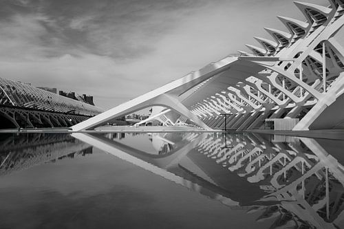 Details van het Museo de las Ciencias Principe Felipe - Valencia