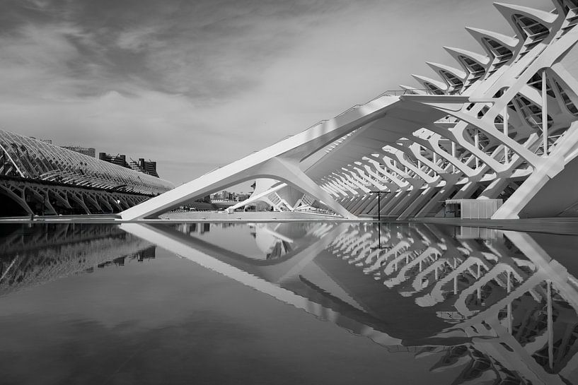 Details of the Museo de las Ciencias Principe Felipe - Valencia by Paysages urbains - Rick Van der Poorten Photography