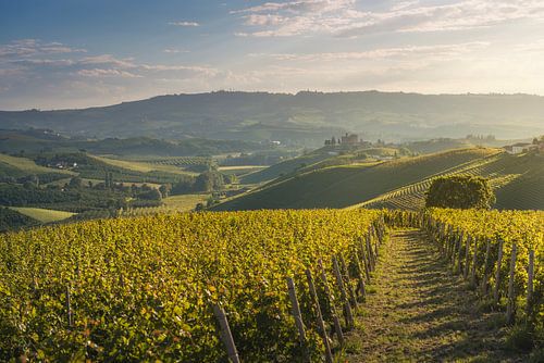 Langhe wijngaarden en kasteel Grinzane Cavour, Italië