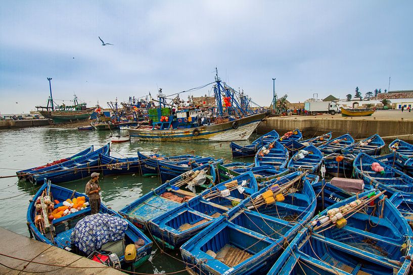 Bateaux de pêche à Essaouira par Easycopters