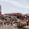 Siena und der Torre del Mangia von Lidushka