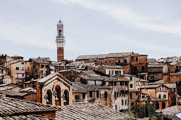 Siena en de Torre del Mangia van Lidushka
