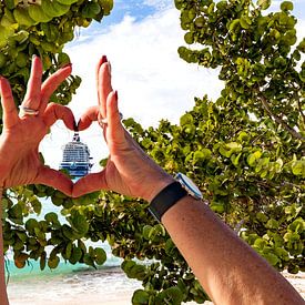 Île des Caraïbes et MeinSchiff sur AidasignArt