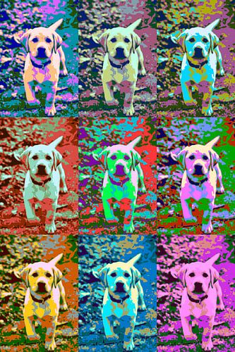 Puppy pop-art