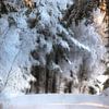 Der Winter kommt langsam. von Marc Hollenberg