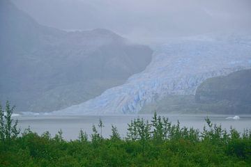 The Mendenhall Glacier by Frank's Awesome Travels