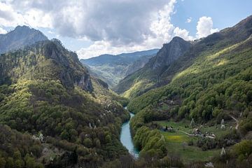 Tara canyon in Montenegro van Beauty everywhere