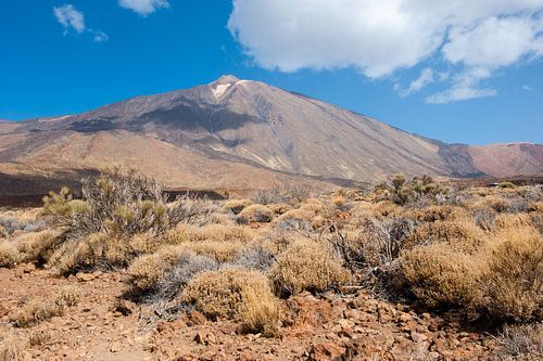 Vulkaan El Teide, Tenerife