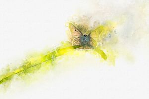 Schmetterling 7 von Silvia Creemers