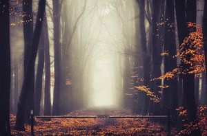 Autumn's gate van Rob Visser