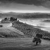 Toskana Landschaft mit Bauernhof und Weinfeld von Manfred Voss, Schwarz-weiss Fotografie
