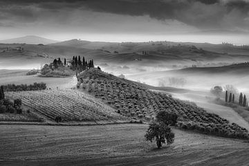 Tuscany landscape with farm and vine field by Manfred Voss, Schwarz-weiss Fotografie
