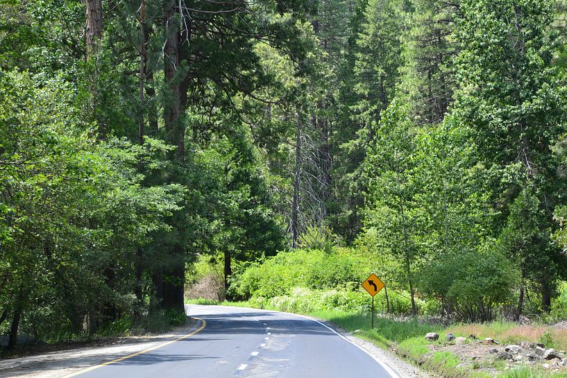 Yosemite van Wessel Smit