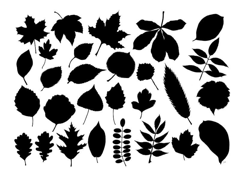 Collage of leaves in black and white by Jasper de Ruiter