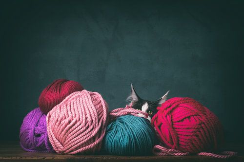 Behind the colourful balls of wool lies a mischievous cat by mirka koot