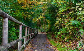 A unique path by Armanto Brouka