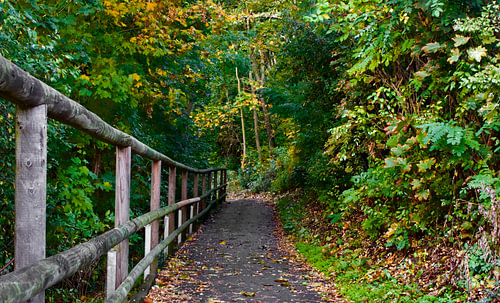 Ein einzigartiger Weg