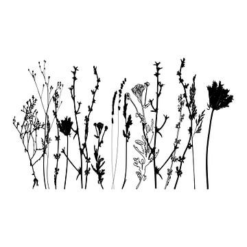 Botanische Illustration mit Pflanzen, Wildblumen und Gräsern in Schwarz und Weiß von Dina Dankers