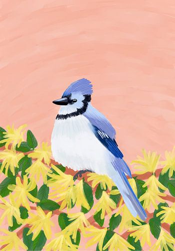 Blue Jay Bird