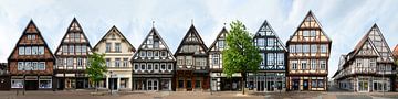 Celle vakwerkstraat Zöllnerstraße Zöllnerstraße van Panorama Streetline