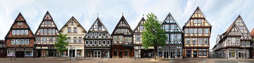Celle Fachwerkstrasse Zöllnerstraße von Panorama Streetline