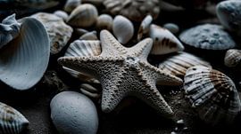 Impressions de plage No 57 sur Treechild