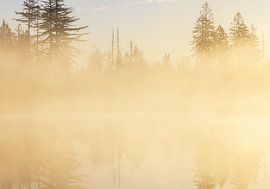 Sunrise Drents-Friese Wold - Hoekenbrink (Netherlands) by Marcel Kerdijk