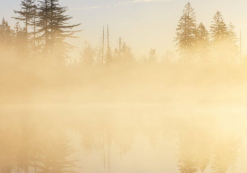 Sunrise Drents-Friese Wold - Hoekenbrink (Netherlands)