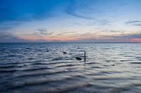 Sonnenuntergang über einem See, mit sichtbarer Wasserbewegung.