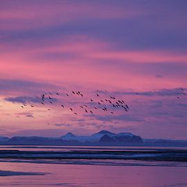 IJskoud IJsland by Aaron de Haas