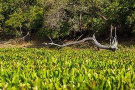 Wo sich die Stille sammelt