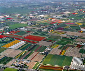 Historic 1986 aerial view of bulb fields in Lisse by Frans Rombout