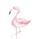Flamingo van Esther  van den Dool thumbnail