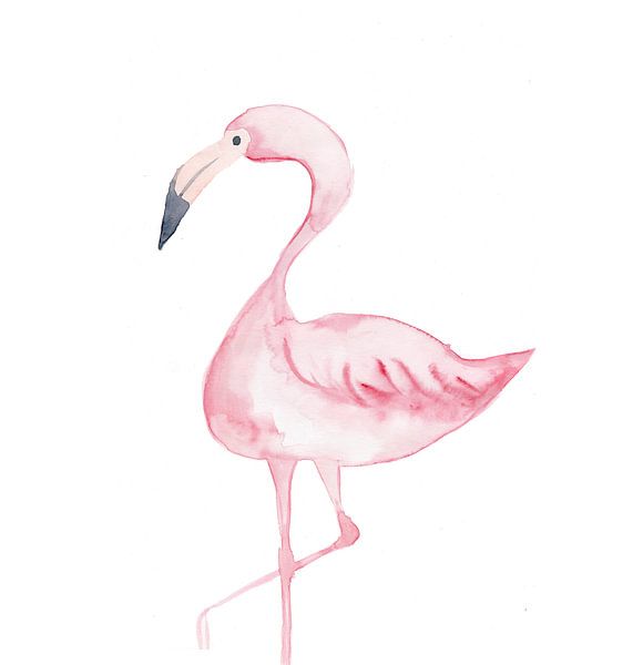 Flamingo van Esther  van den Dool