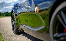 reflection of nature by Henri van Rheenen