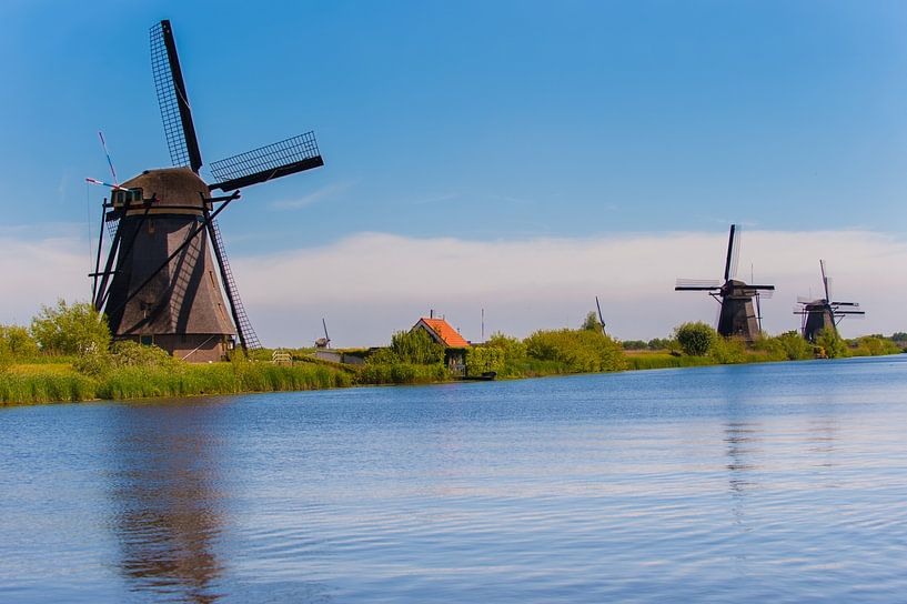 Kinderdijk Holland Windmills by Brian Morgan