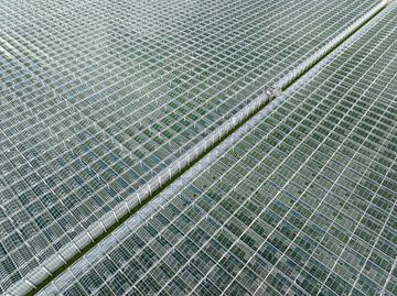 Gewächshaus für den Gemüseanbau Luftaufnahme von oben von Sjoerd van der Wal Fotografie