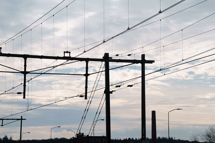 line game on the track by wil spijker