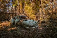 Verloren plaats - verlaten auto van Linda Lu thumbnail