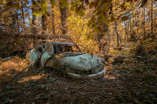 Lost Place - abandoned Car